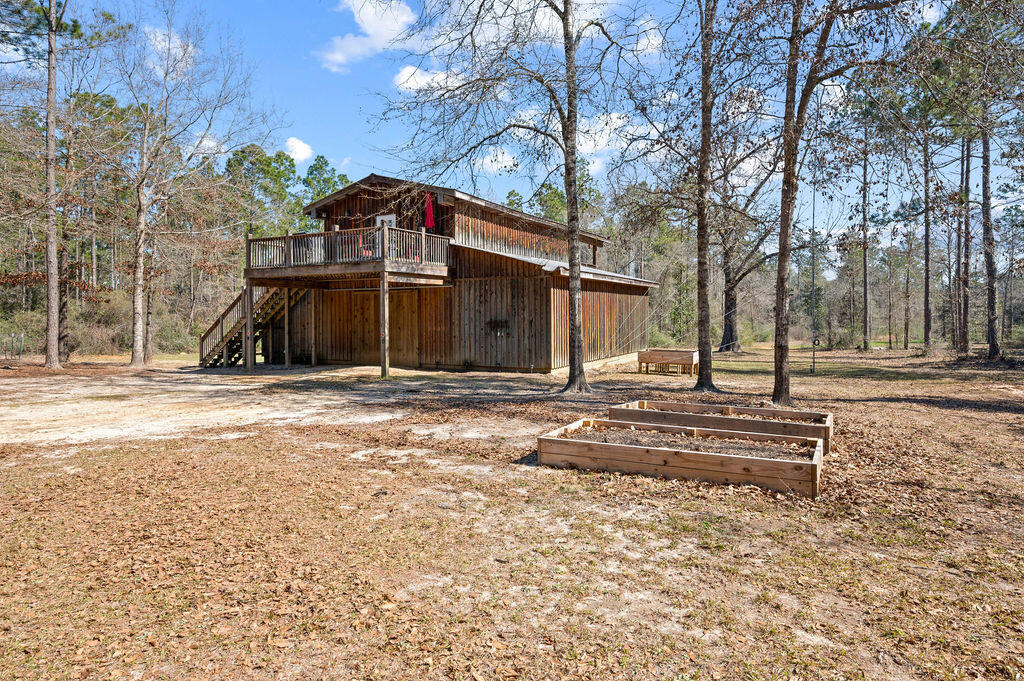 WALTON PLANTATION - Farm