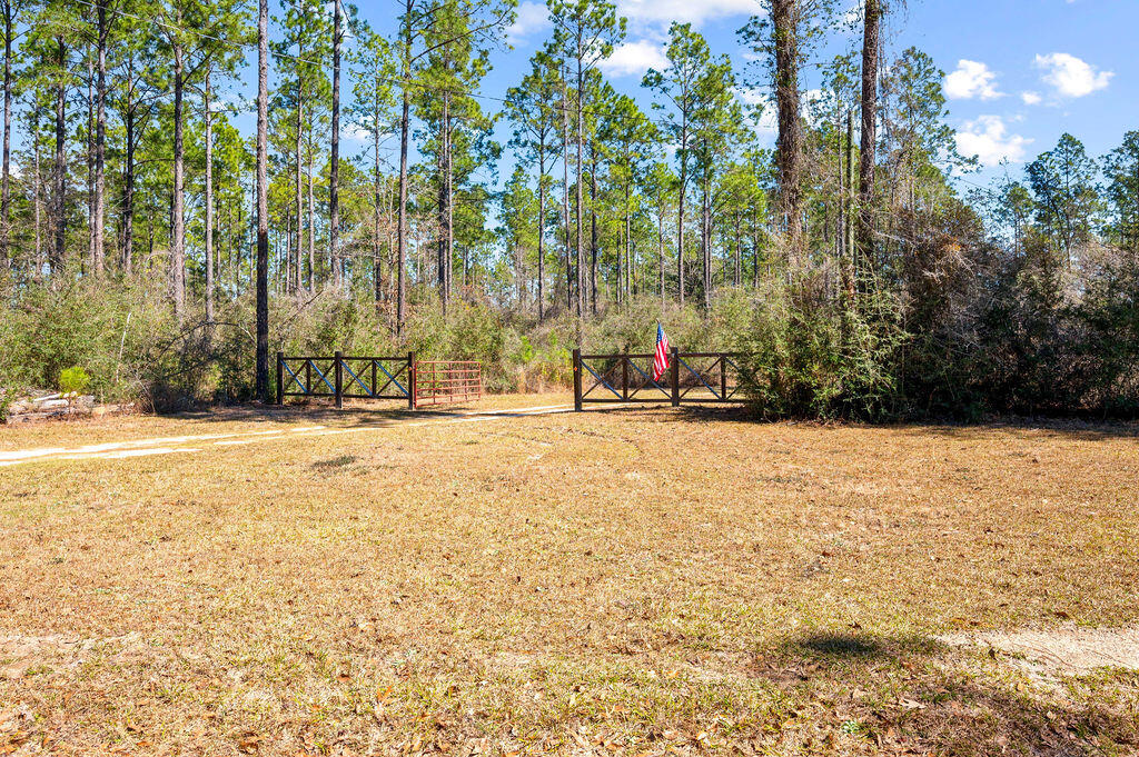 WALTON PLANTATION - Farm
