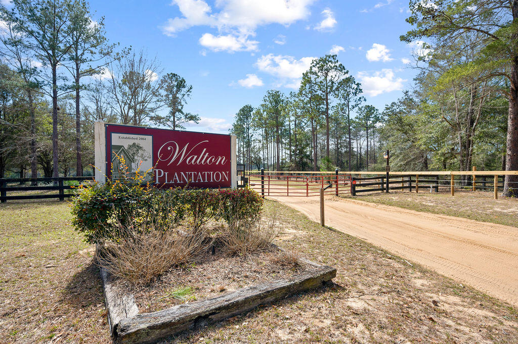 WALTON PLANTATION - Farm
