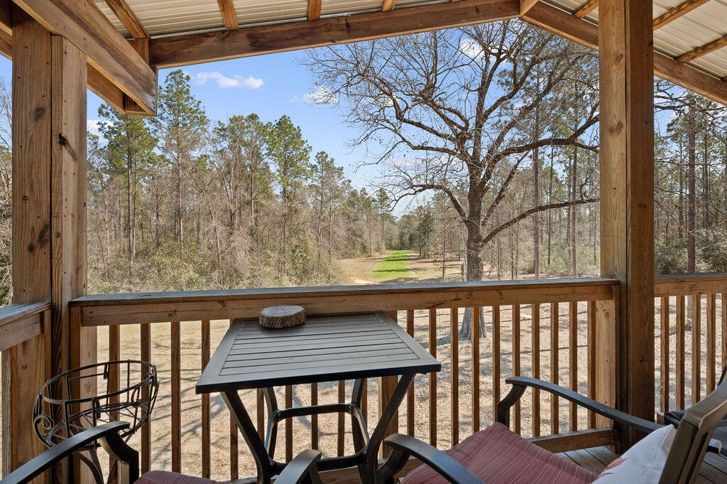 WALTON PLANTATION - Farm