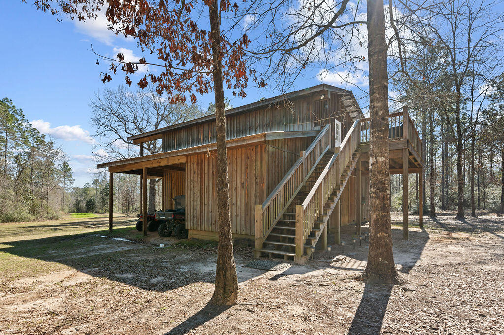 WALTON PLANTATION - Farm