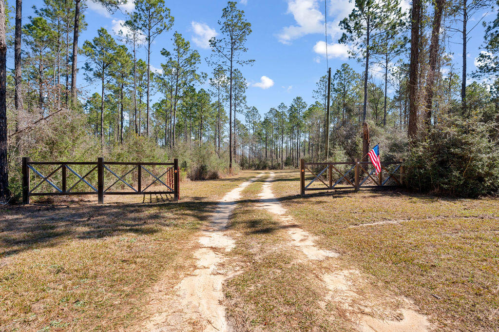 WALTON PLANTATION - Farm