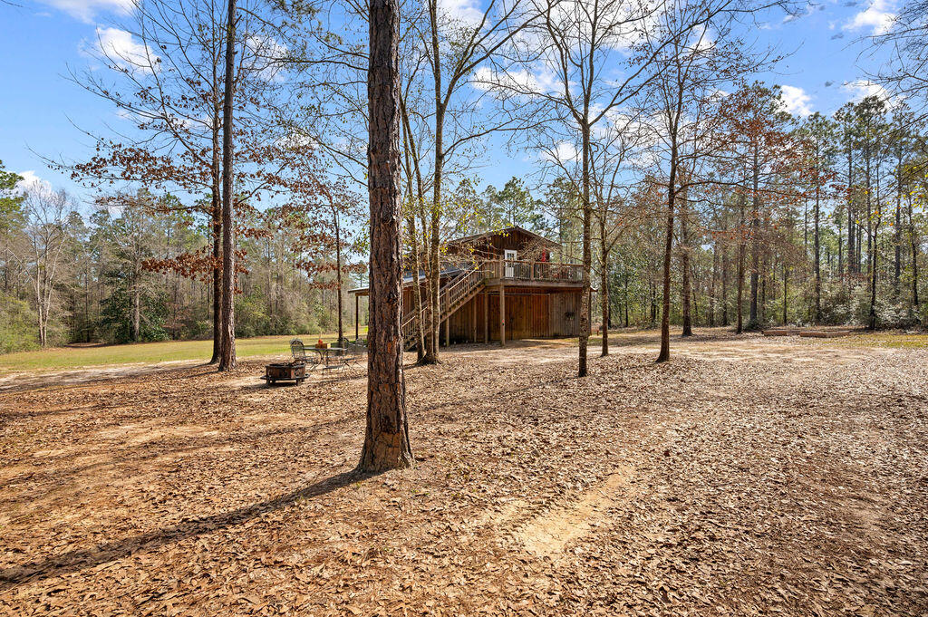 WALTON PLANTATION - Farm