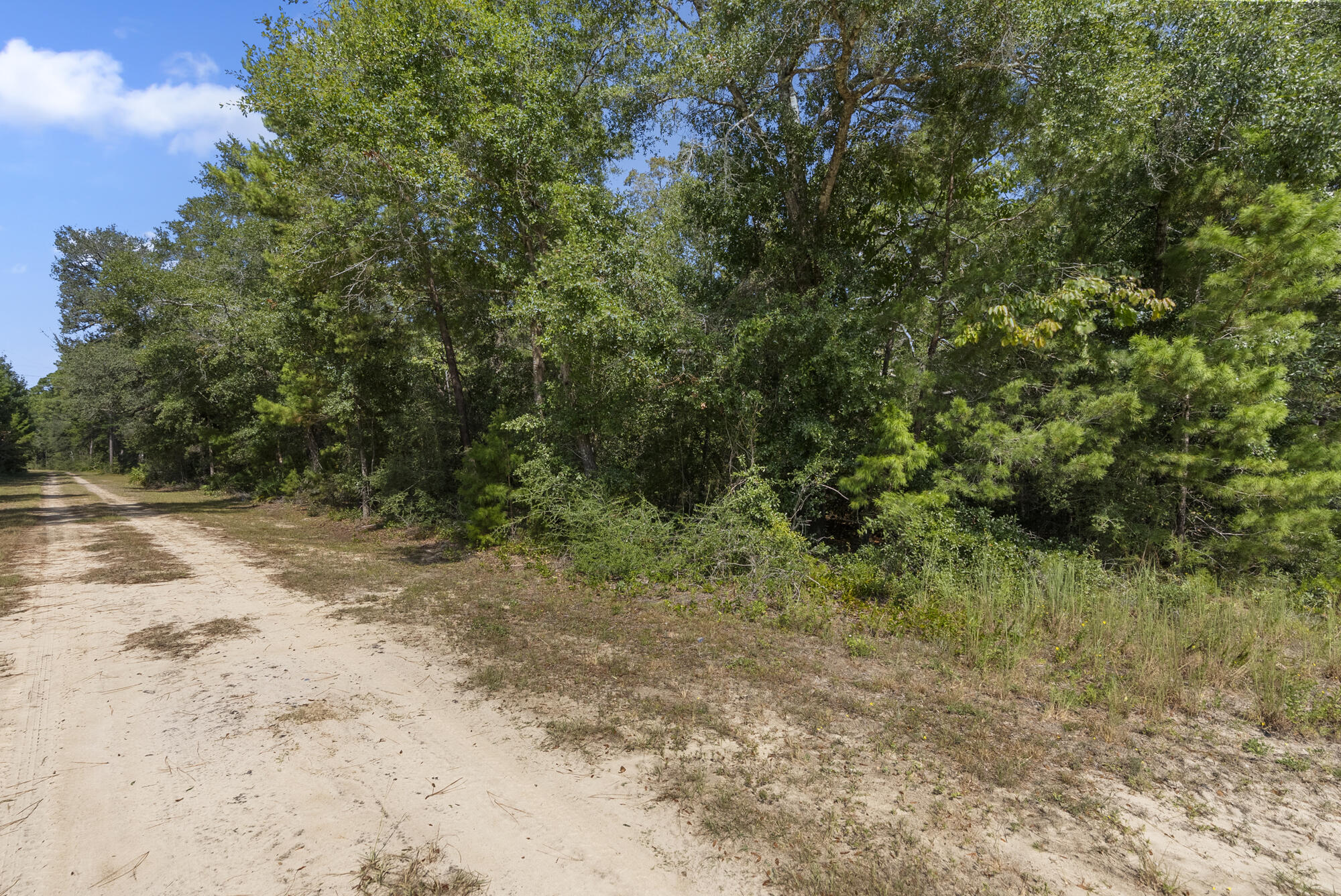 The Oaks of Freeport - Land