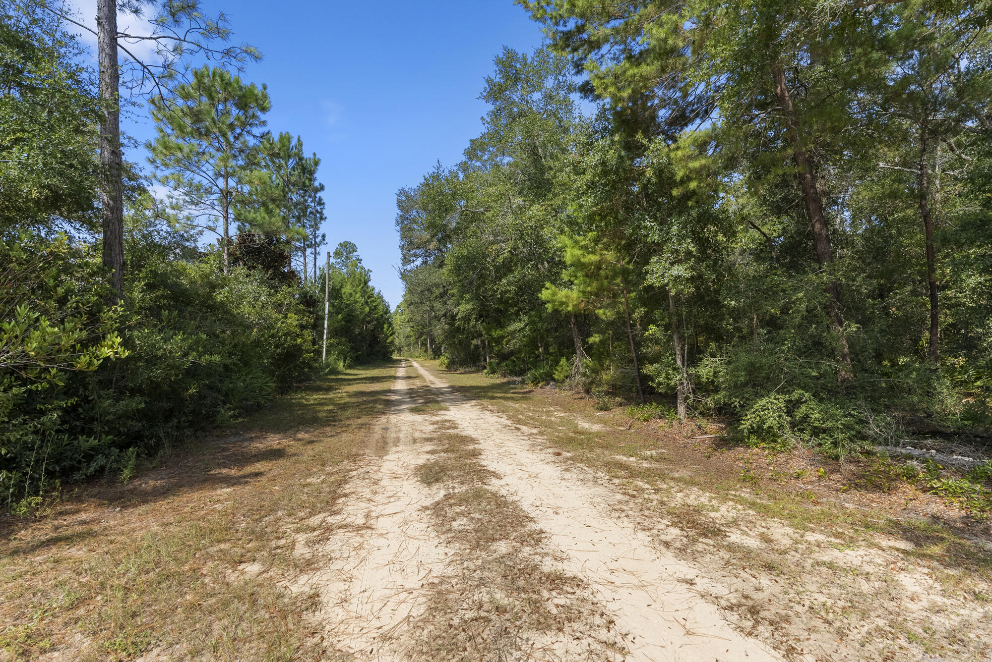 The Oaks of Freeport - Land