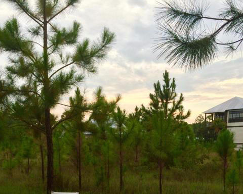 BEACHVIEW WOODS PH 2 - Land