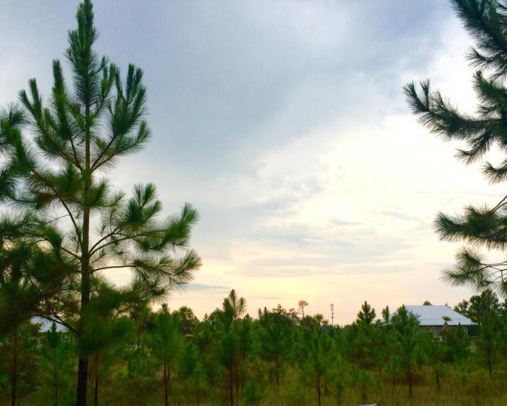 BEACHVIEW WOODS PH 2 - Land