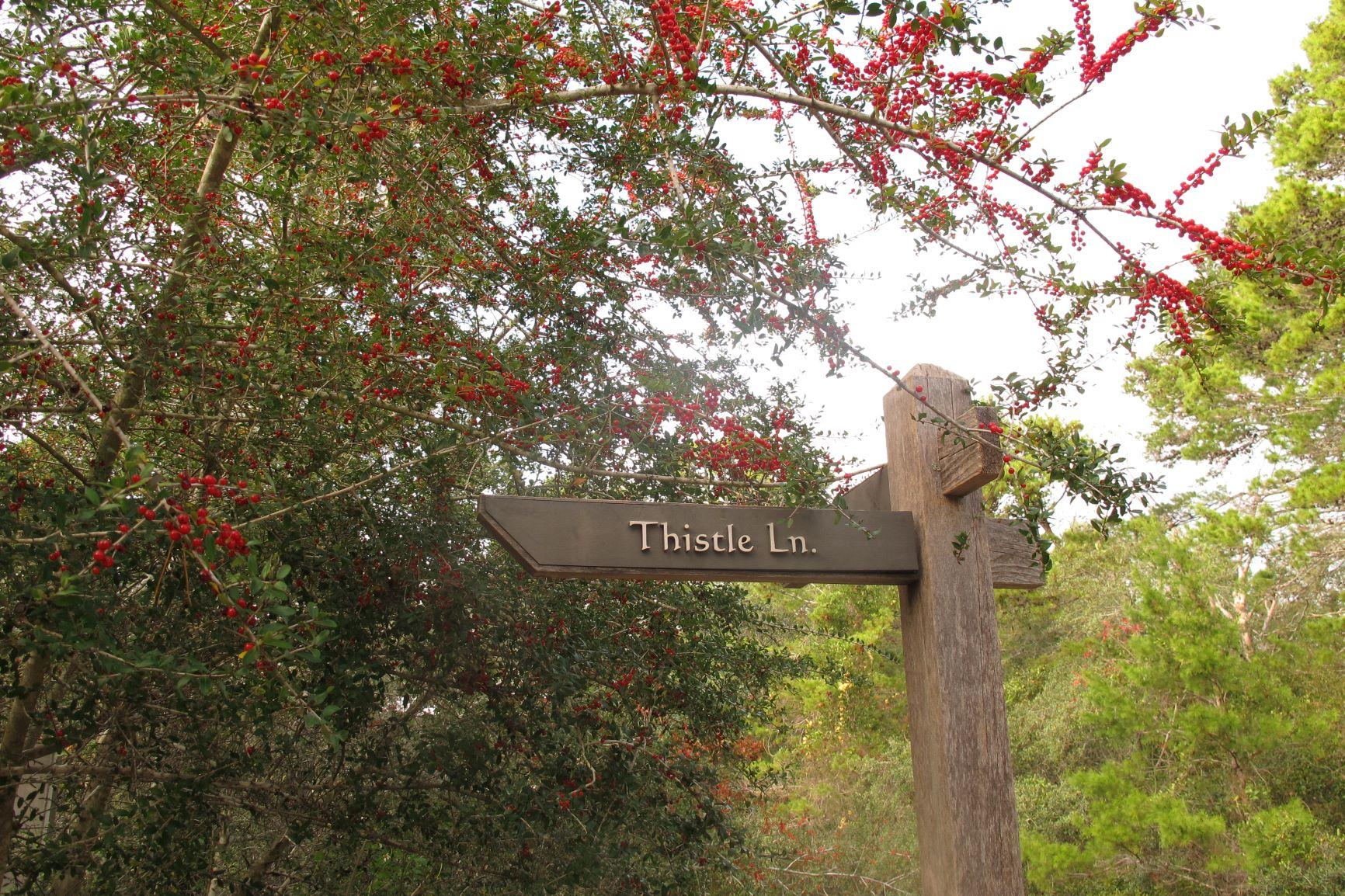 DRAPER LAKE COASTAL VILLAGE - Land