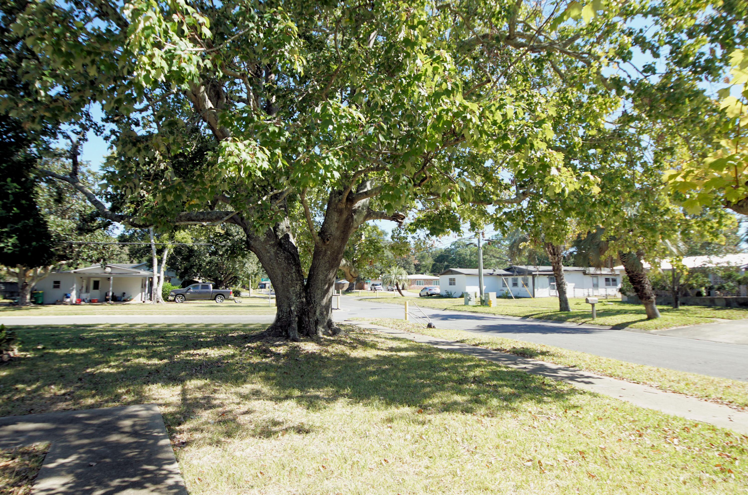 OAK TREE PARK - Residential