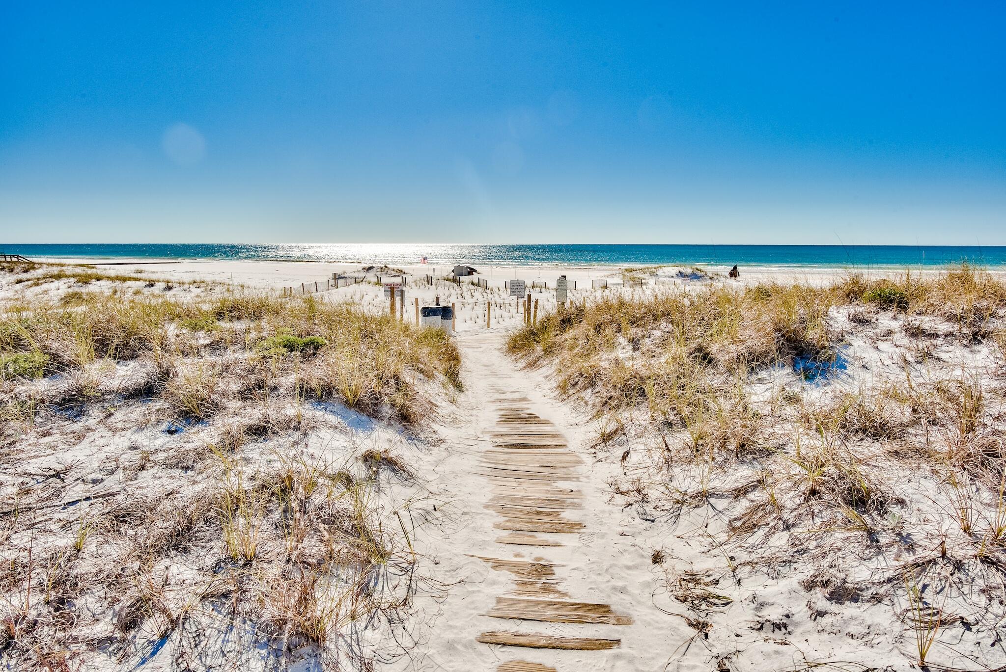 THE PRESERVE AT GRAYTON BEACH - Residential