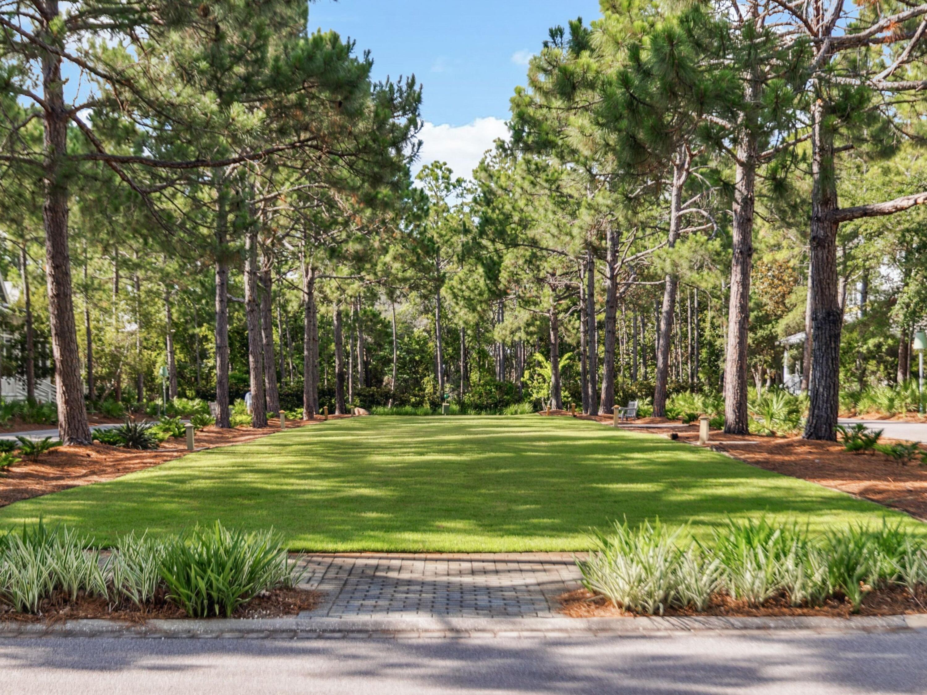 WATERCOLOR - Residential