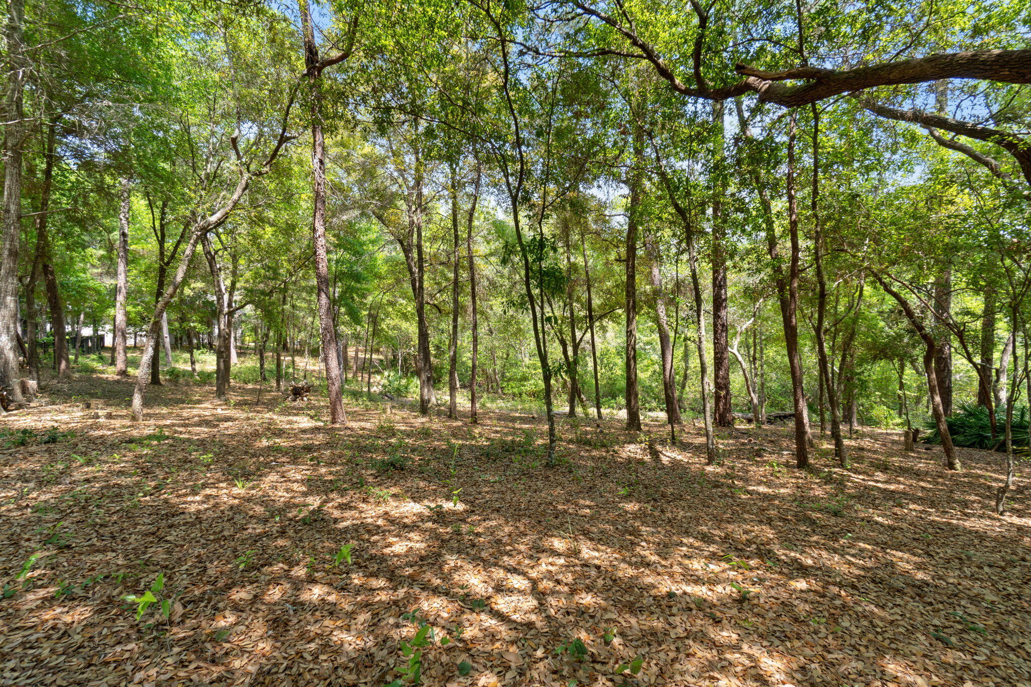 SWIFT CREEK PH VI - Residential