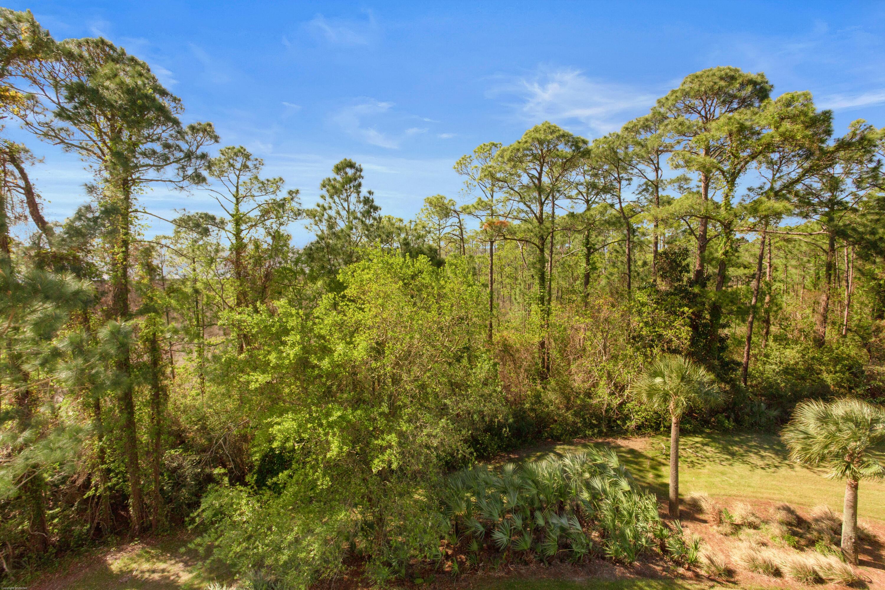 ELATION - Residential