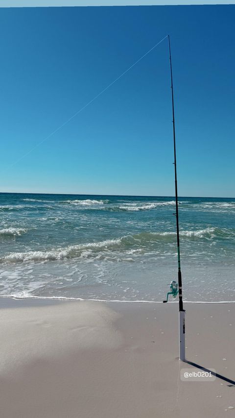 A home in Santa Rosa Beach