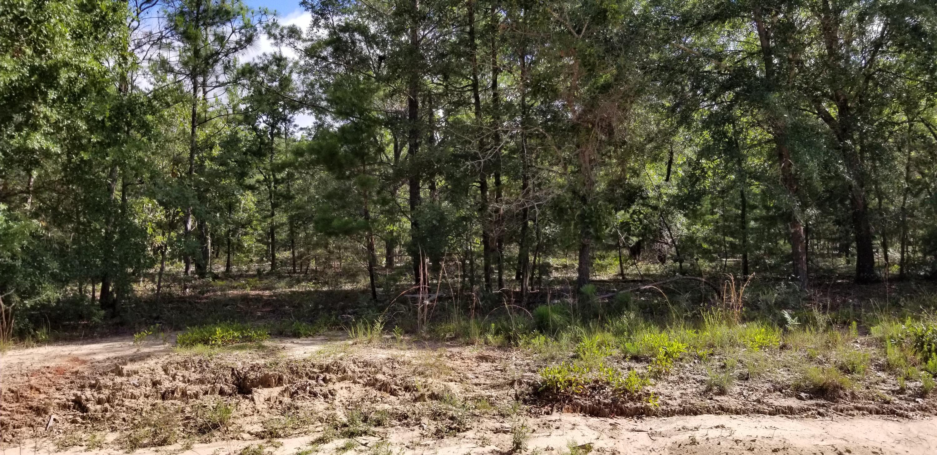 Poverty Crk & Dorcas - Land