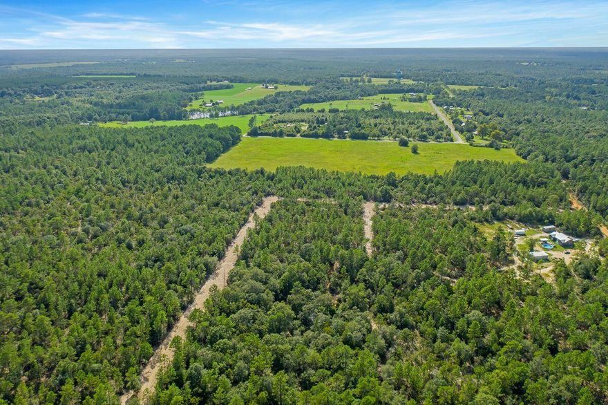 Onsite tours available. Exceptional opportunity abounds with this offering to purchase 1.25 acre parcels in North Walton County. The land is beautiful, raw acreage featuring level lots, mostly uplands and rolling topography. An easy commute to Destin, Crestview, Defuniak Springs, Santa Rosa Beach and about 50 minutes to the beautiful white sand beaches of the Emerald Coast. This is a great opportunity for someone looking to invest or develop a primary residence. Additional information available upon request.