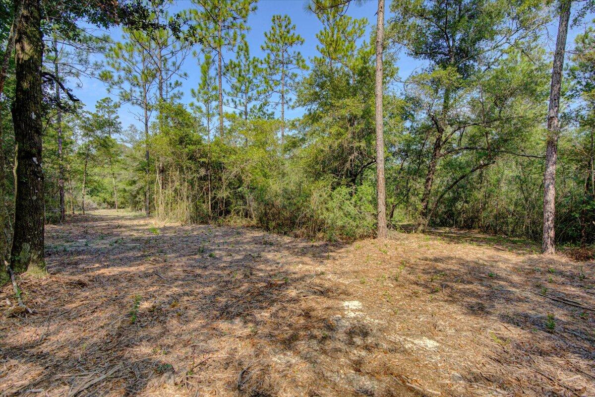 METES & BOUNDS - Land