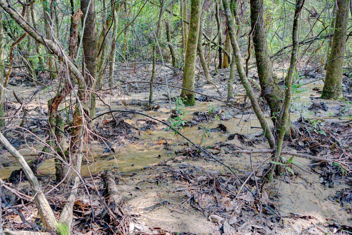 METES & BOUNDS - Land