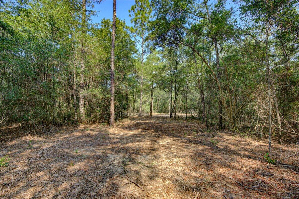 METES & BOUNDS - Land