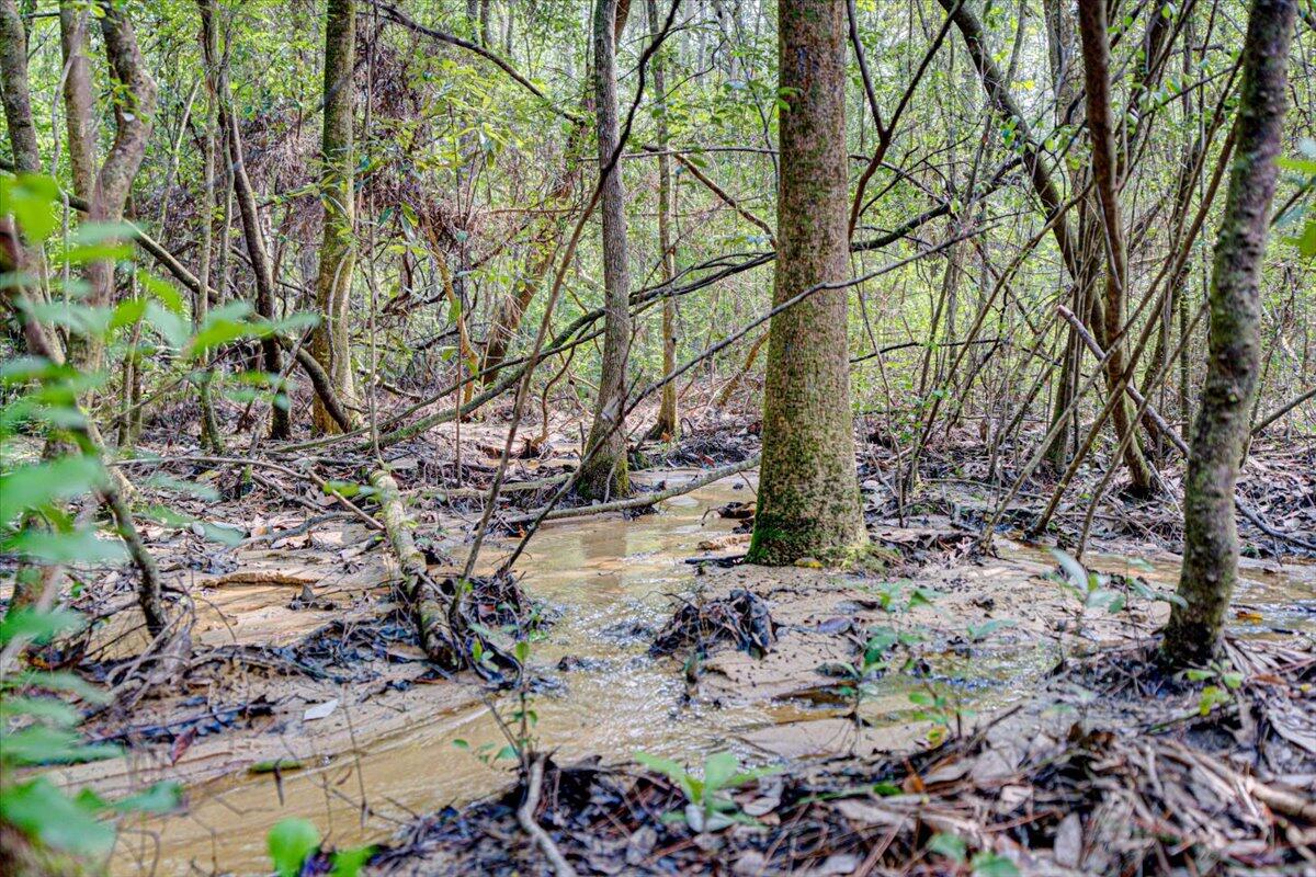 METES & BOUNDS - Land