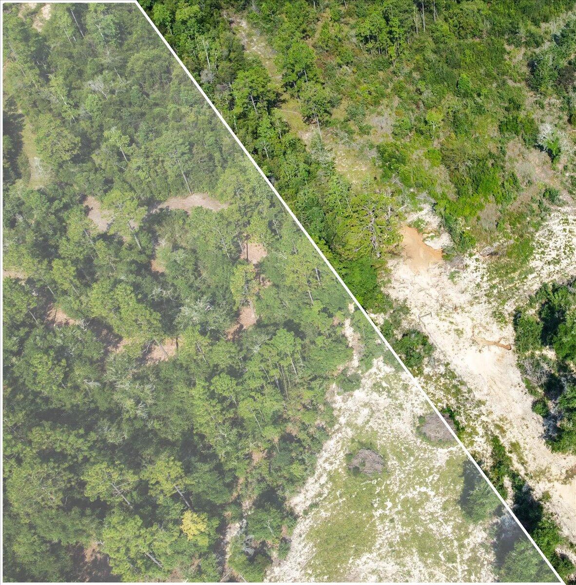 METES & BOUNDS - Land