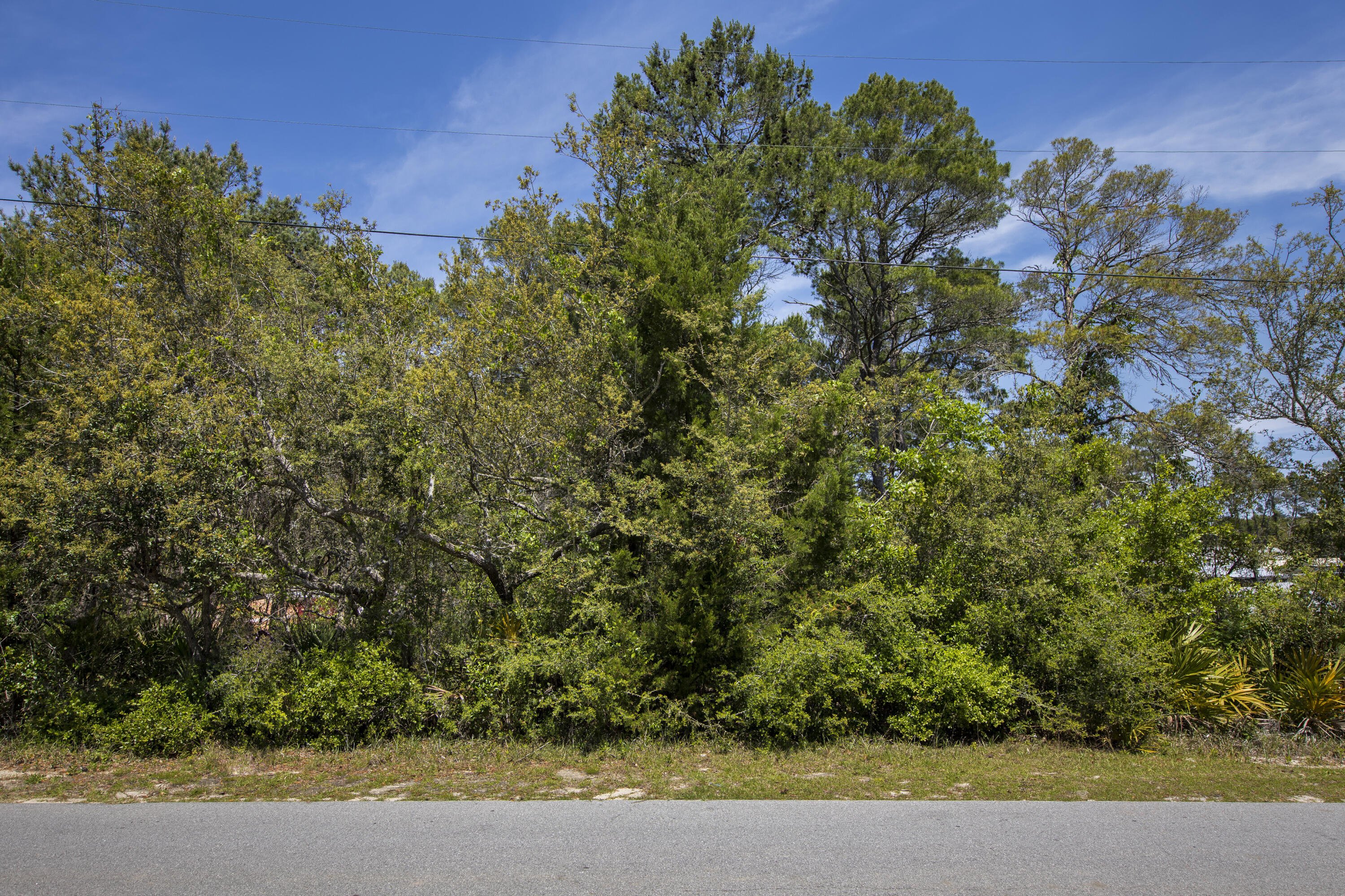 Carson Lane Inlet beach - Land