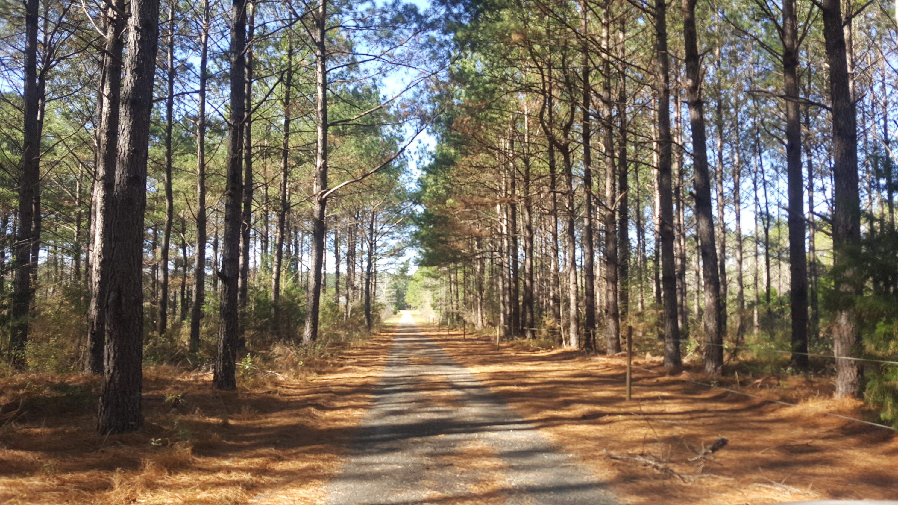 NO RECORDED SUBDIVISION - Residential