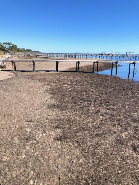 DAVID'S LANDING - Residential