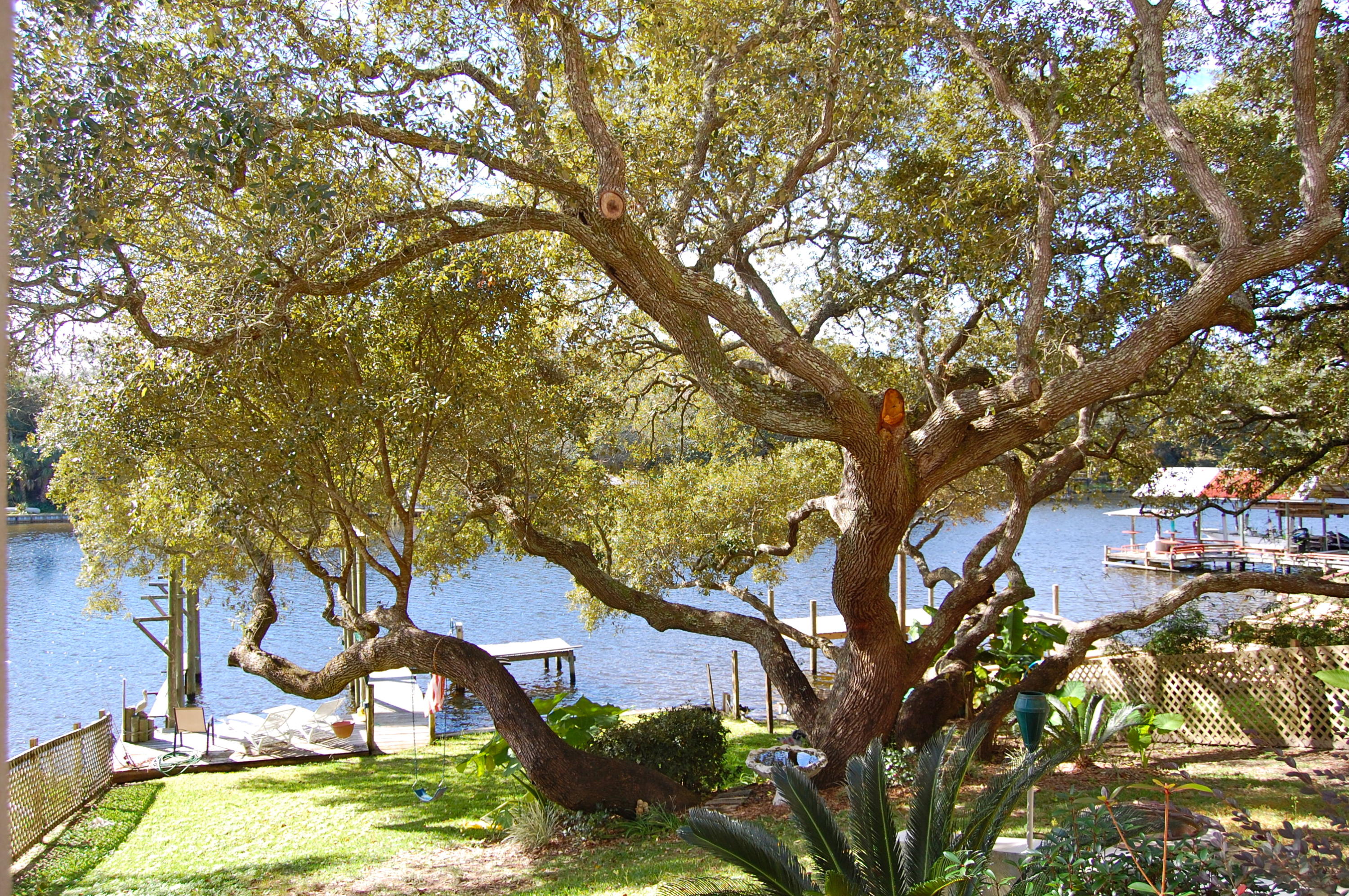 MOONEYS NORTH S/D - Residential