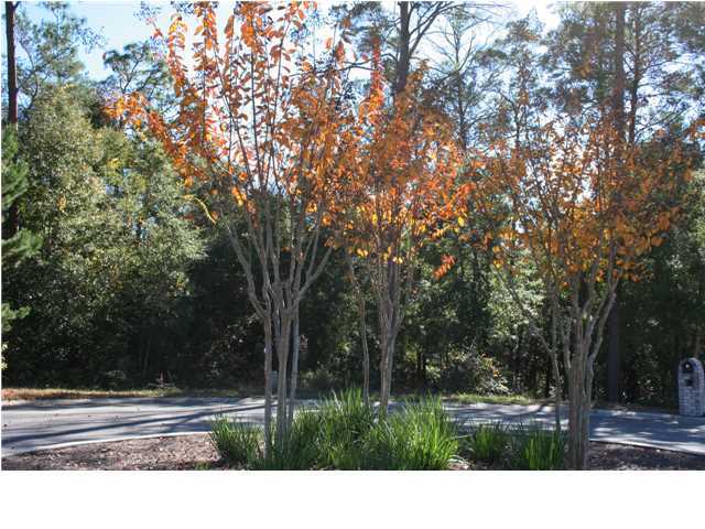 Beautiful lots like this Rocky Bayou half-acre are scarce in Niceville. Local bank financing at competitive rates is available. So LIVE YOUR DREAM right here on this lushly wooded homesite in an area of upscale executive homes that's also convenient to schools, shopping, NW Florida State College,& the sugar-white Destin beaches. Within 20 minutes to both Eglin and 7th Special Forces area and about 35 minutes to Hurlburt. Gently slopes toward the back of the lot so perfect for a home with a lower level. Minimum SF = 2200 SF for single story home. 2-story home must have minimum 1200 SF on the first floor. Setbacks are 45' front and rear; 12.5' on the sides.*** The owners have received their LOMA(letter of map amendment) showing lot to be in zone X with lowest elevation of 18.7'! See docs.