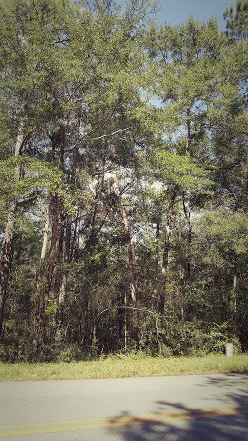 Beautiful lot on Mallet Bayou across the street from the water. Build your dream home or bring your motor home/trailer. Call agent with questions.