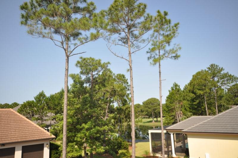 ISLAND GREEN - Residential
