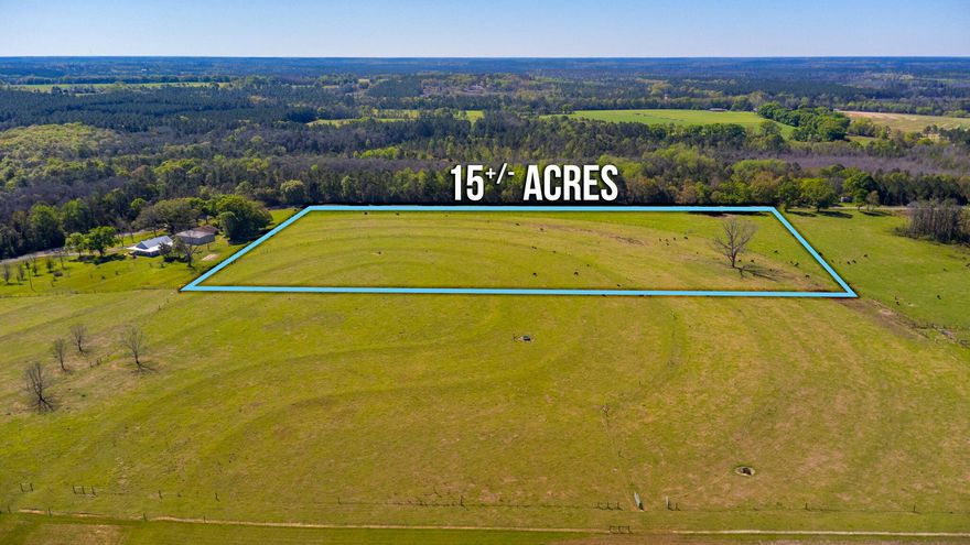 Check out this rare 16.43-acre tract in North Walton County that has power and an existing private well.  This parcel is partially fenced and has paved road frontage. There are multiple home sites to build your dream home!  Less than 1 hour from the world's most beautiful beaches.  Zoned for Paxton school which is the #2 ranked school in Florida!  Additional land available adjoining this property.