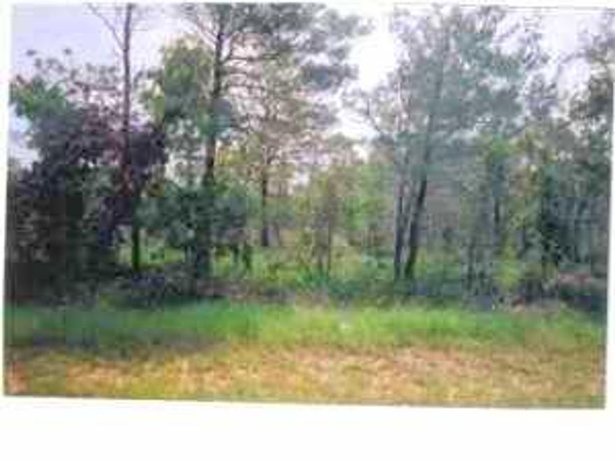 Build your dream home today! High and dry wooded lot on paved road near shopping, beaches and schools. No build out time.