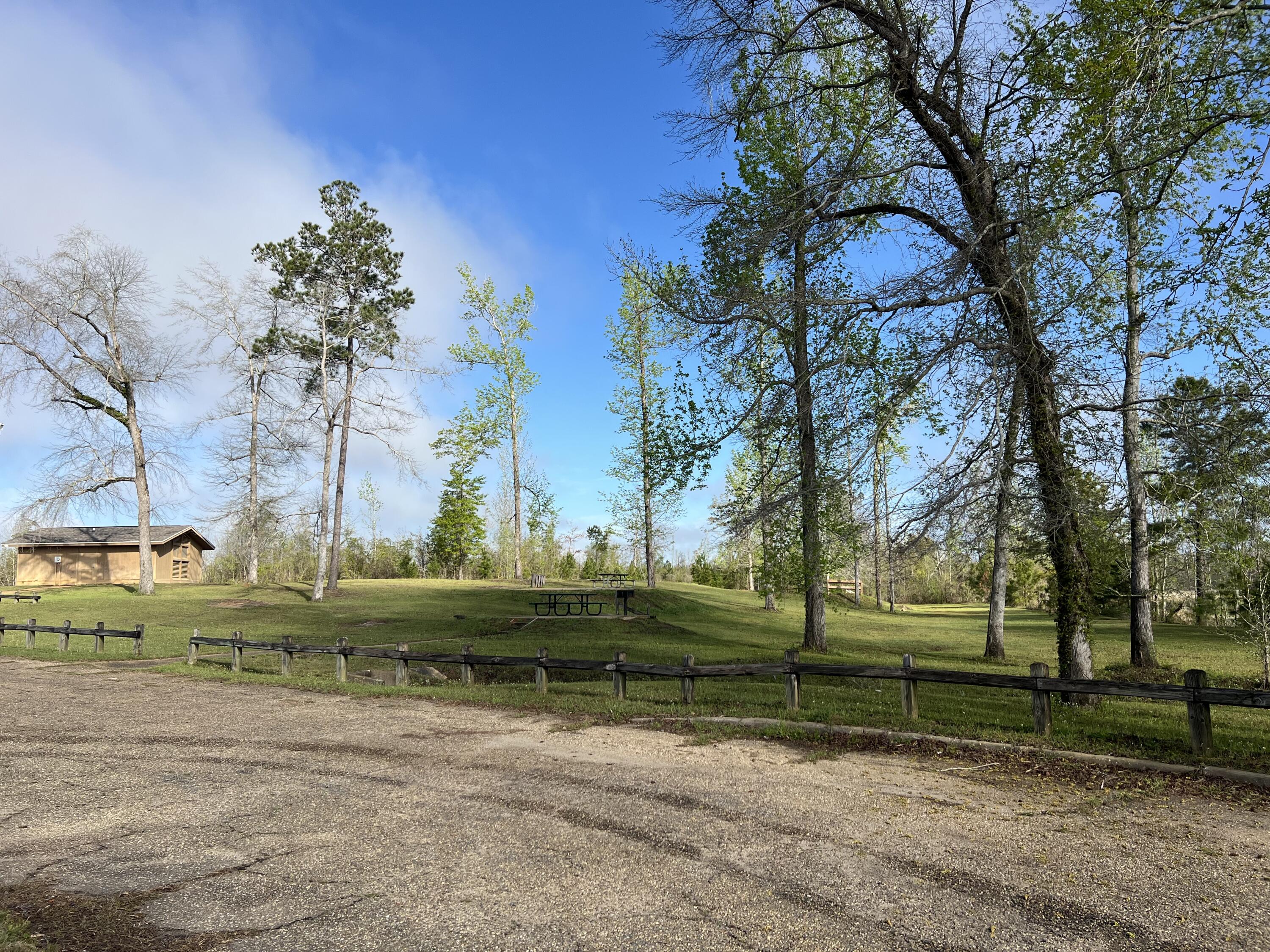 SEMINOLE HEIGHTS - Residential