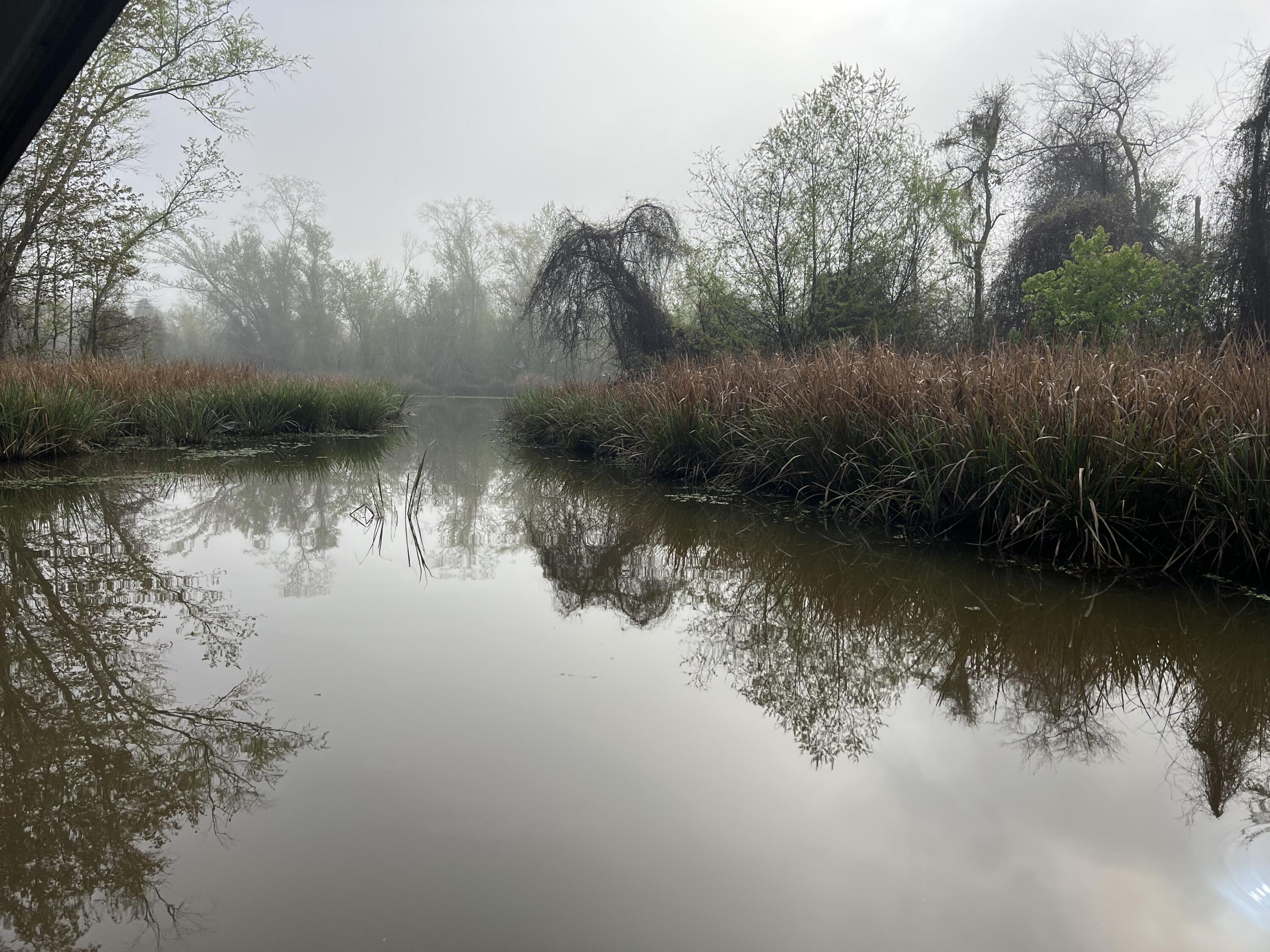 SEMINOLE HEIGHTS - Residential