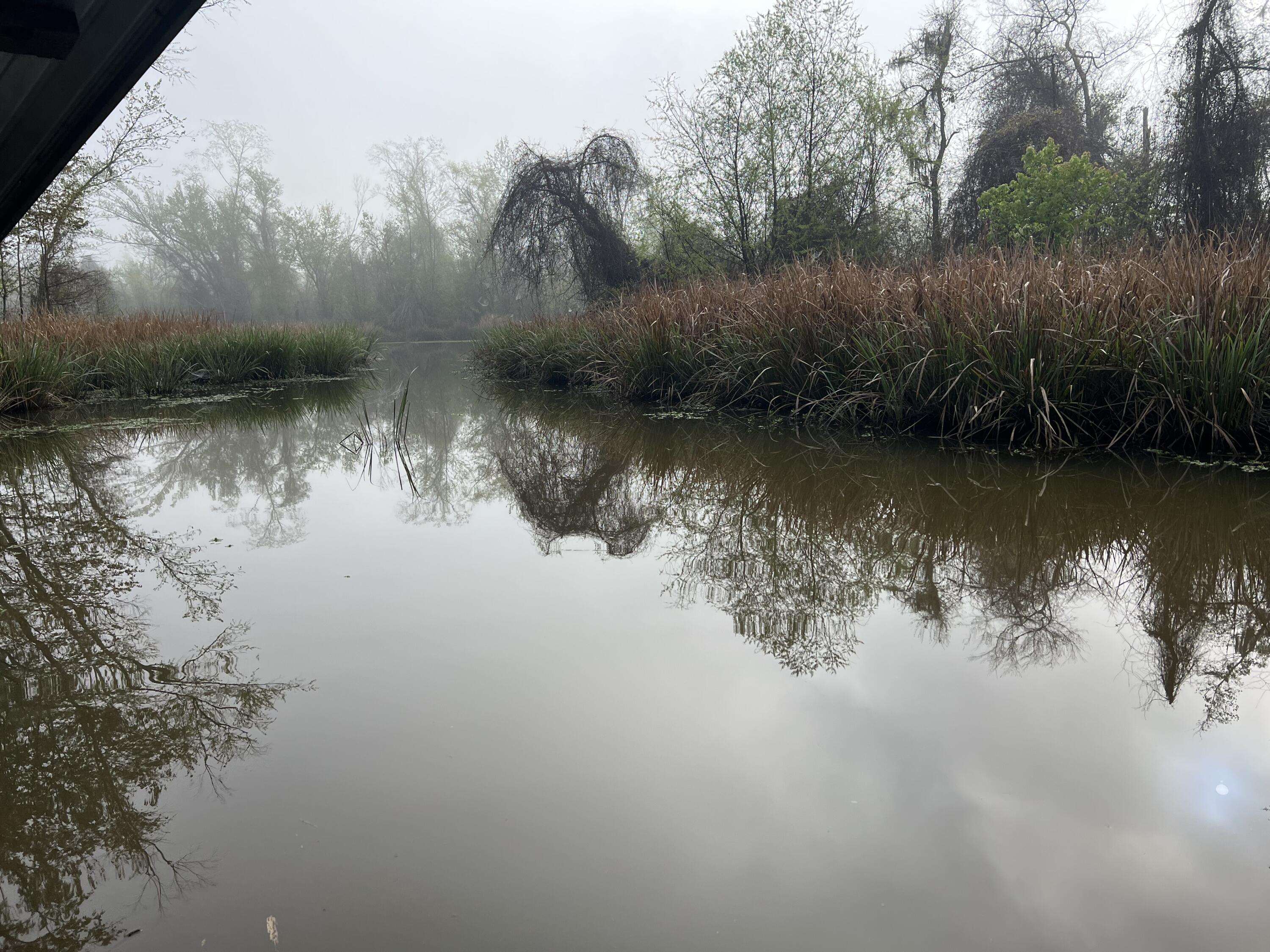 SEMINOLE HEIGHTS - Residential