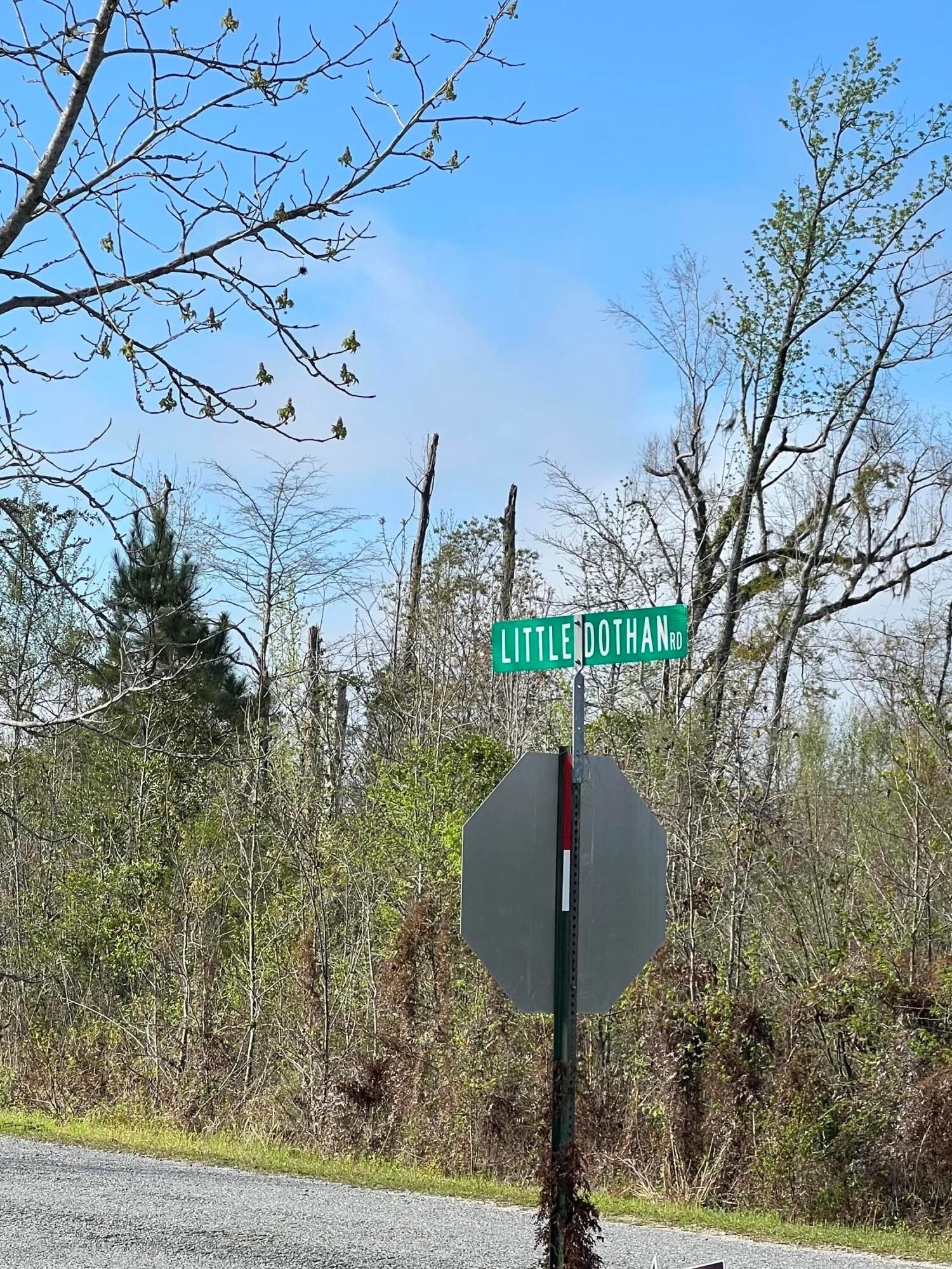 Other, Florida, United States, 3 Bedrooms Bedrooms, ,2 BathroomsBathrooms,Residential,Active,166799