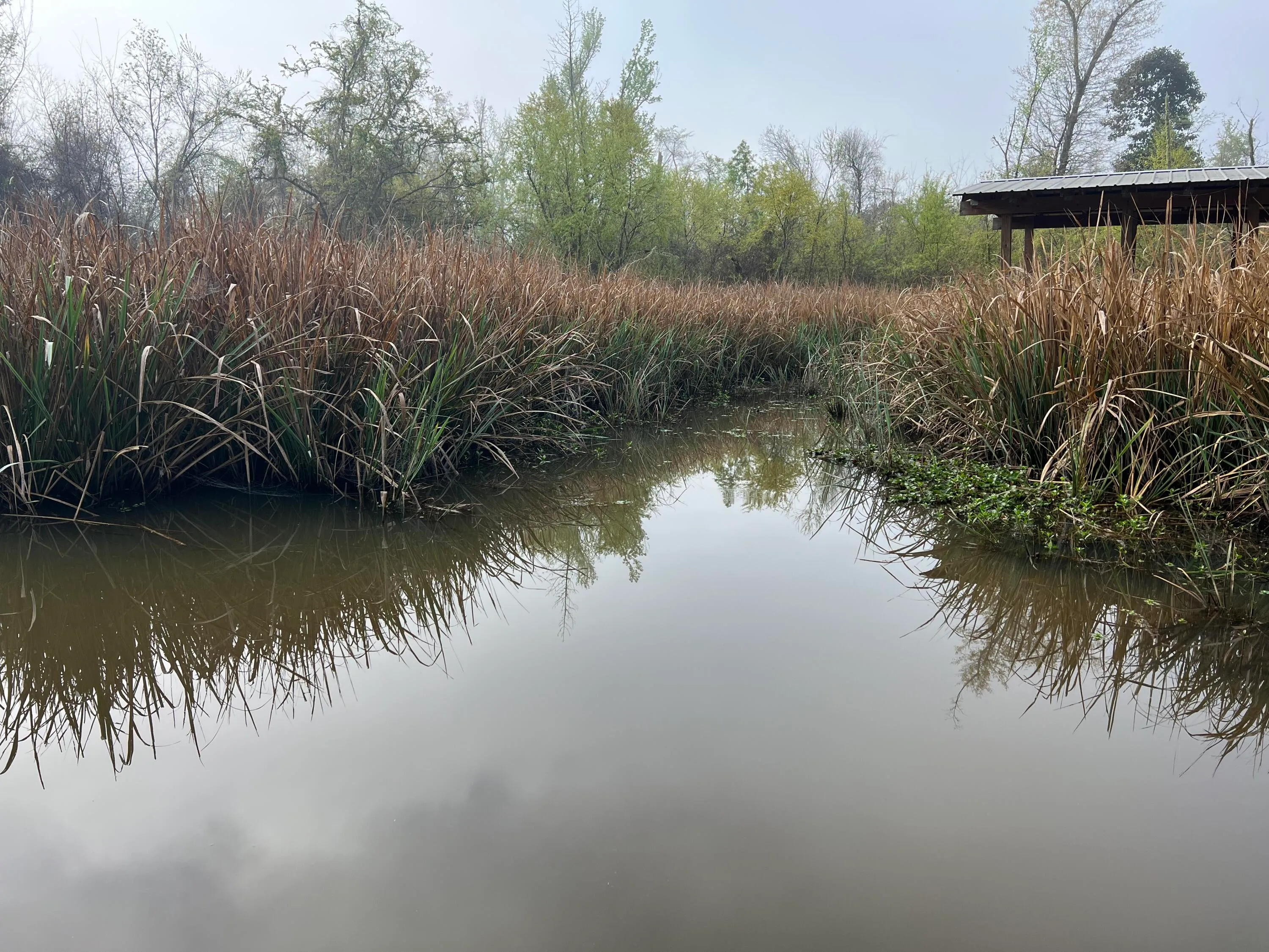 Other, Florida, United States, 3 Bedrooms Bedrooms, ,2 BathroomsBathrooms,Residential,Active,166799