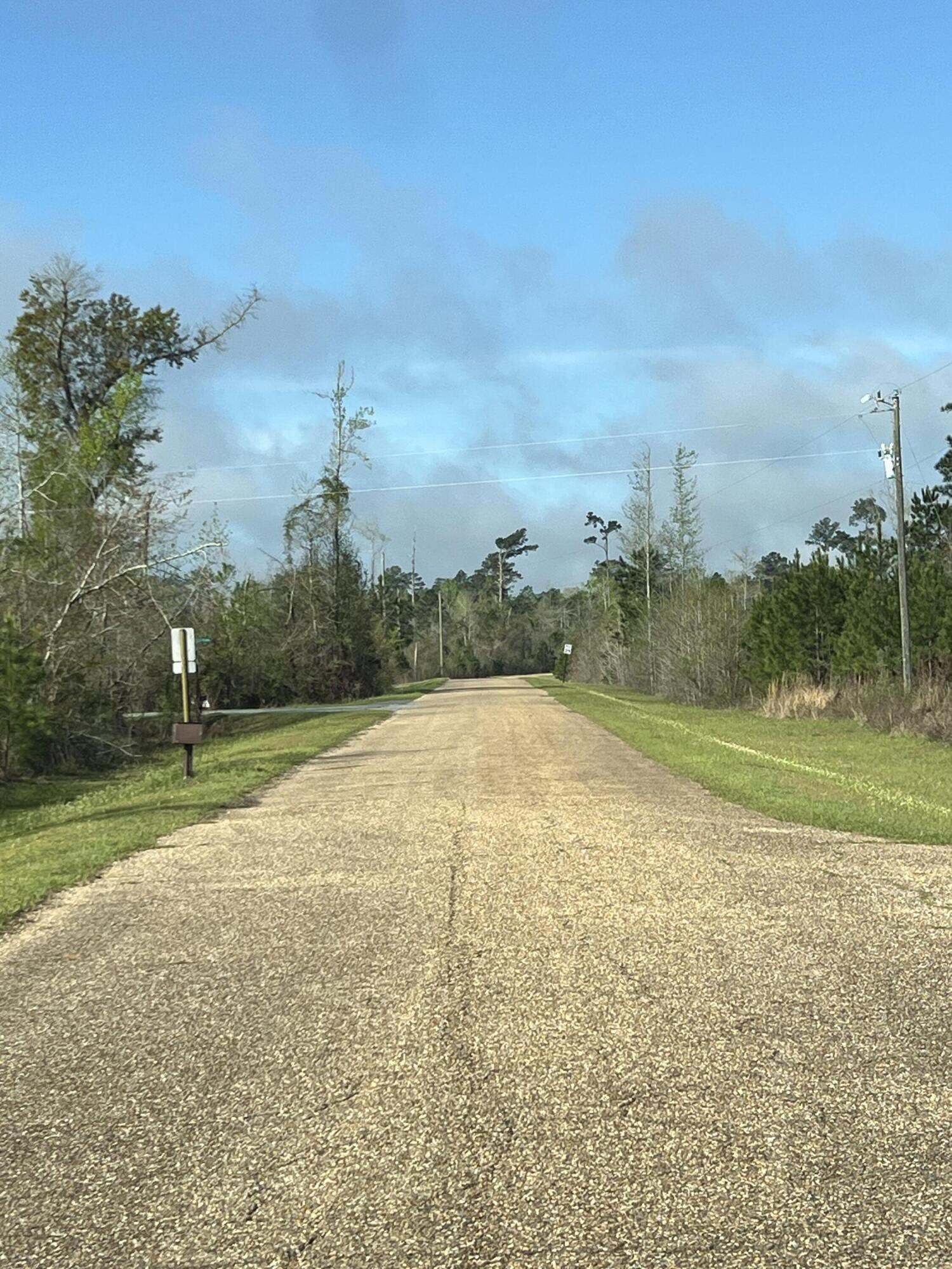 SEMINOLE HEIGHTS - Residential