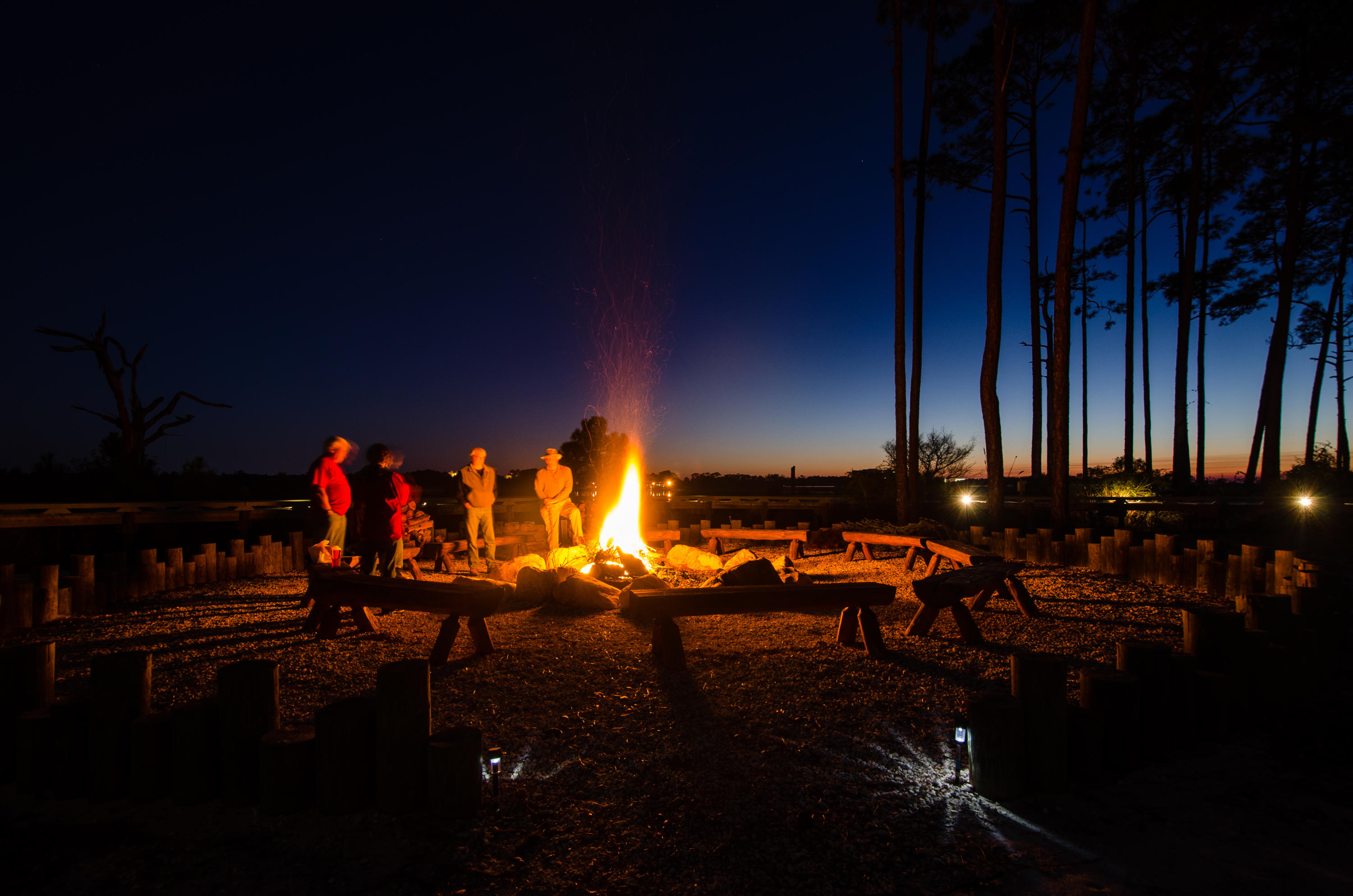 Wild Heron Phase VII - Land