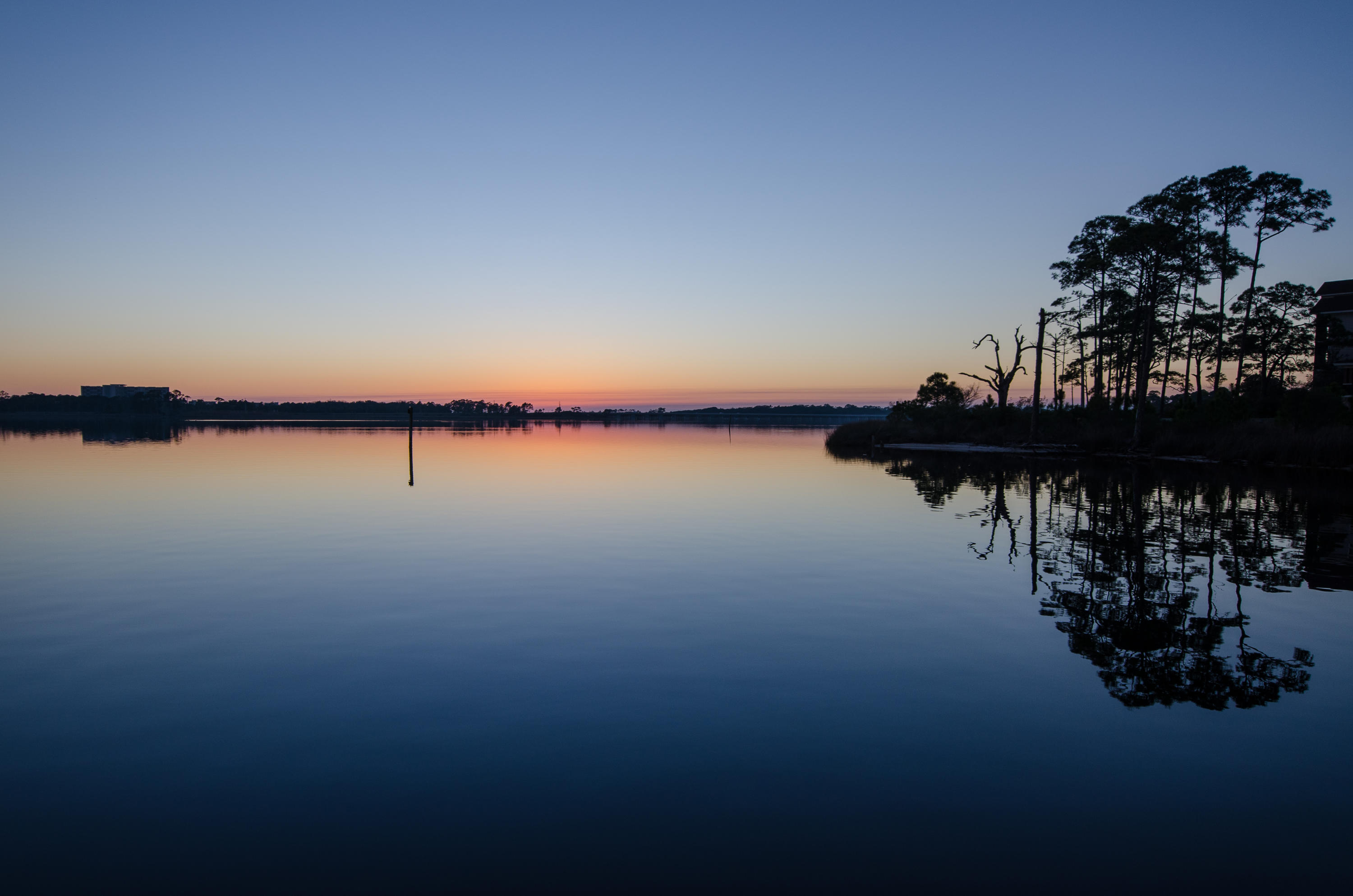 Wild Heron Phase VII - Land