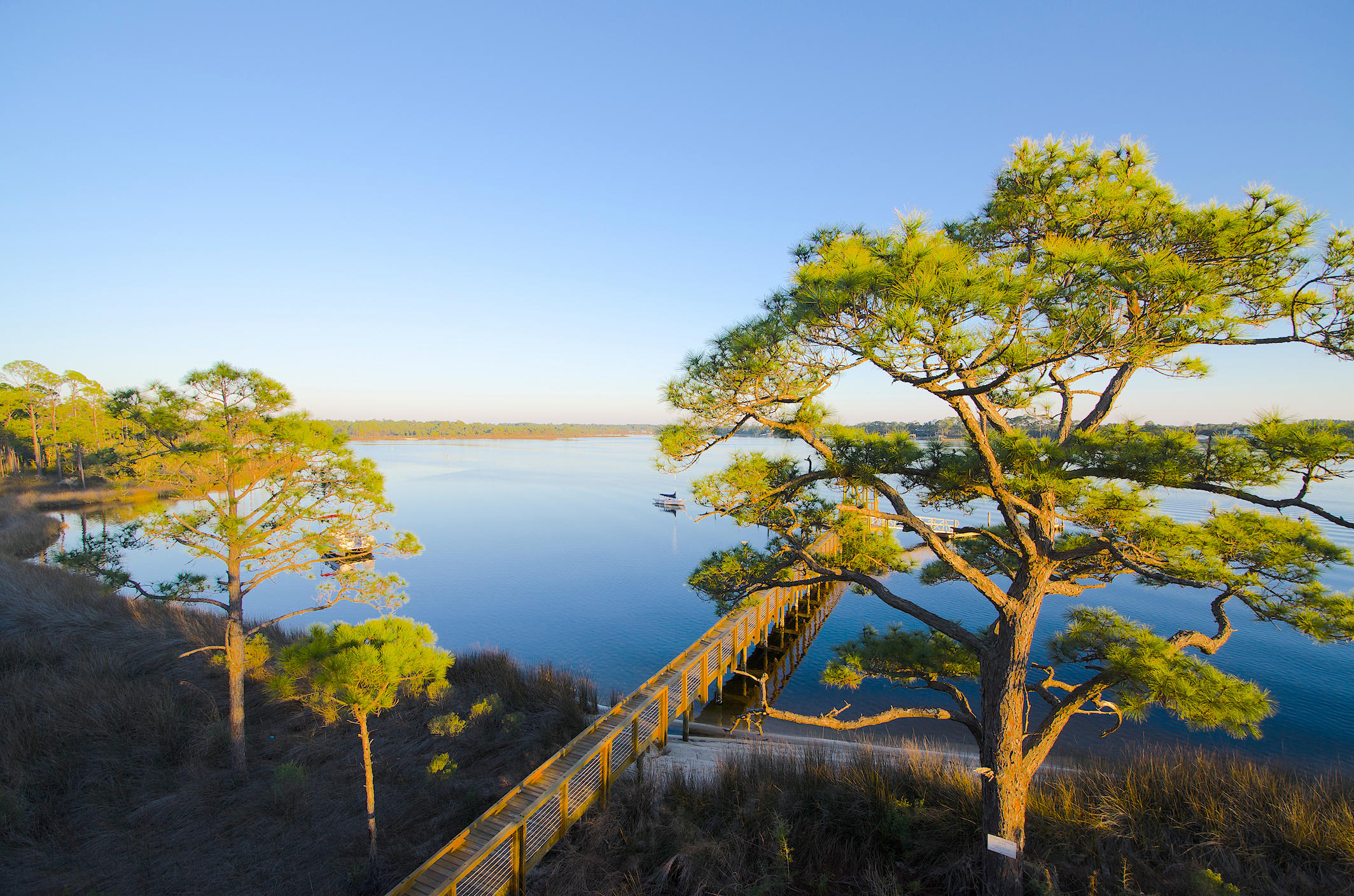 Wild Heron Phase VII - Land