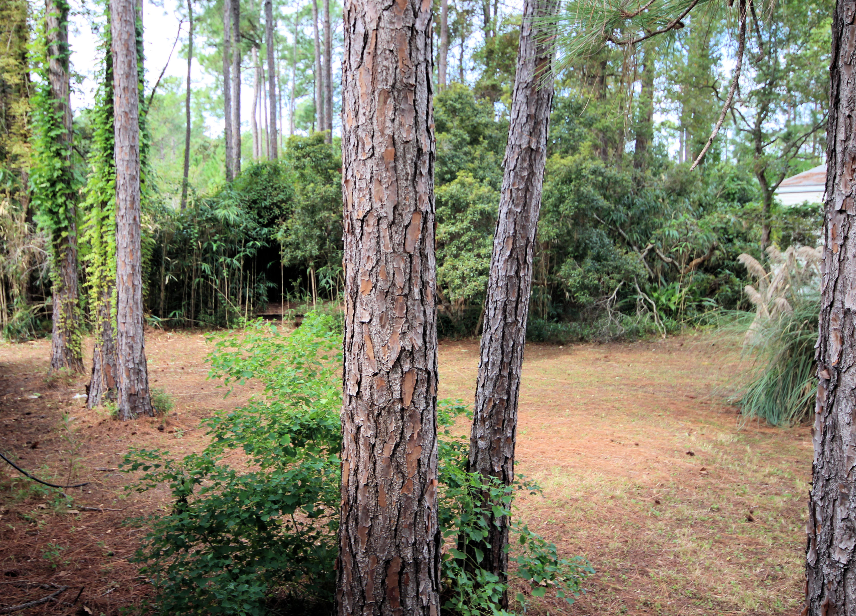 BAY SHADOW ESTATES - Residential