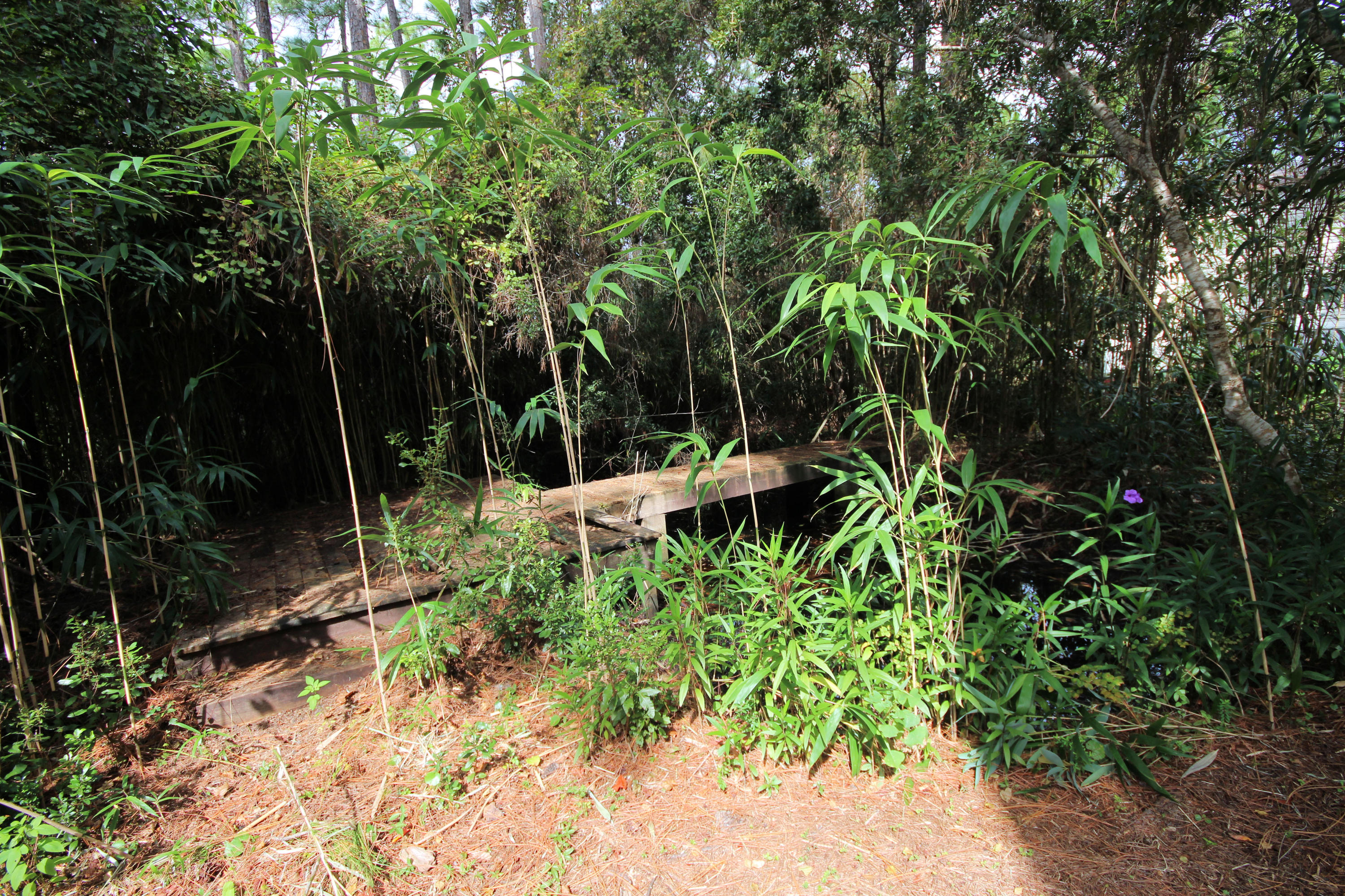 BAY SHADOW ESTATES - Residential