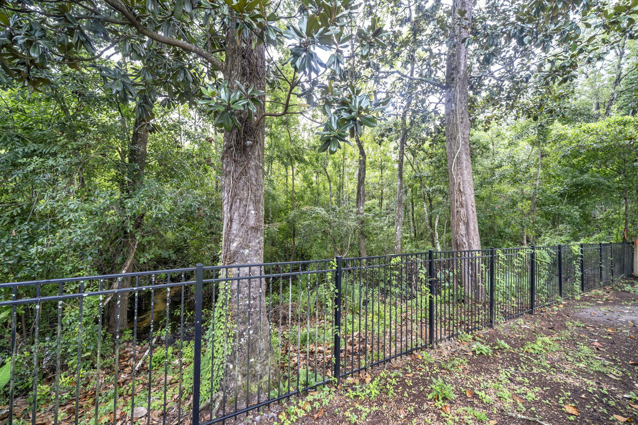 CREEKSIDE 4 - Residential Lease