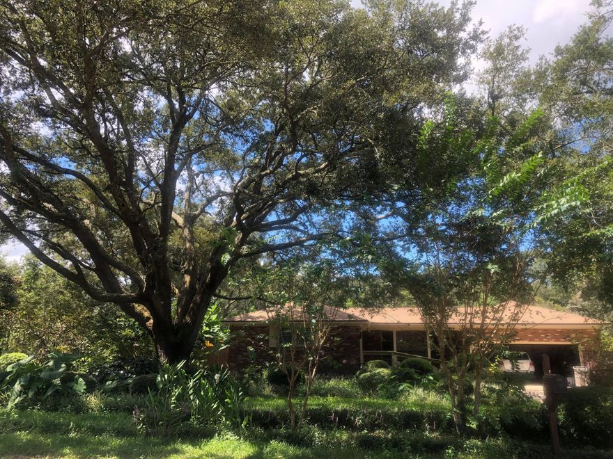 Located within Myrtle Grove within walking distance to Osceola Municipal Golf Course, this charming 3 bedroom 2 bathroom home offers lush landscaping and a backyard oasis with sprawling gardens FULL of organic Fruit trees, fruits, vegetables (established 20+ years), and an inground pool. Entertain outside on the beautiful lanai with multiple seating areas and water feature with wonderful pavers meandering through the lush gardens. The kitchen area is an open floor plan with a dining area and spacious living room with oversized sliding glass doors. The kitchen comes equipped with granite counter tops, solid Oak cabinetry with pull out drawers, built-in microwave, electric cooktop stove and fridge. *****New roof 2021***** Additional Photos Coming*****