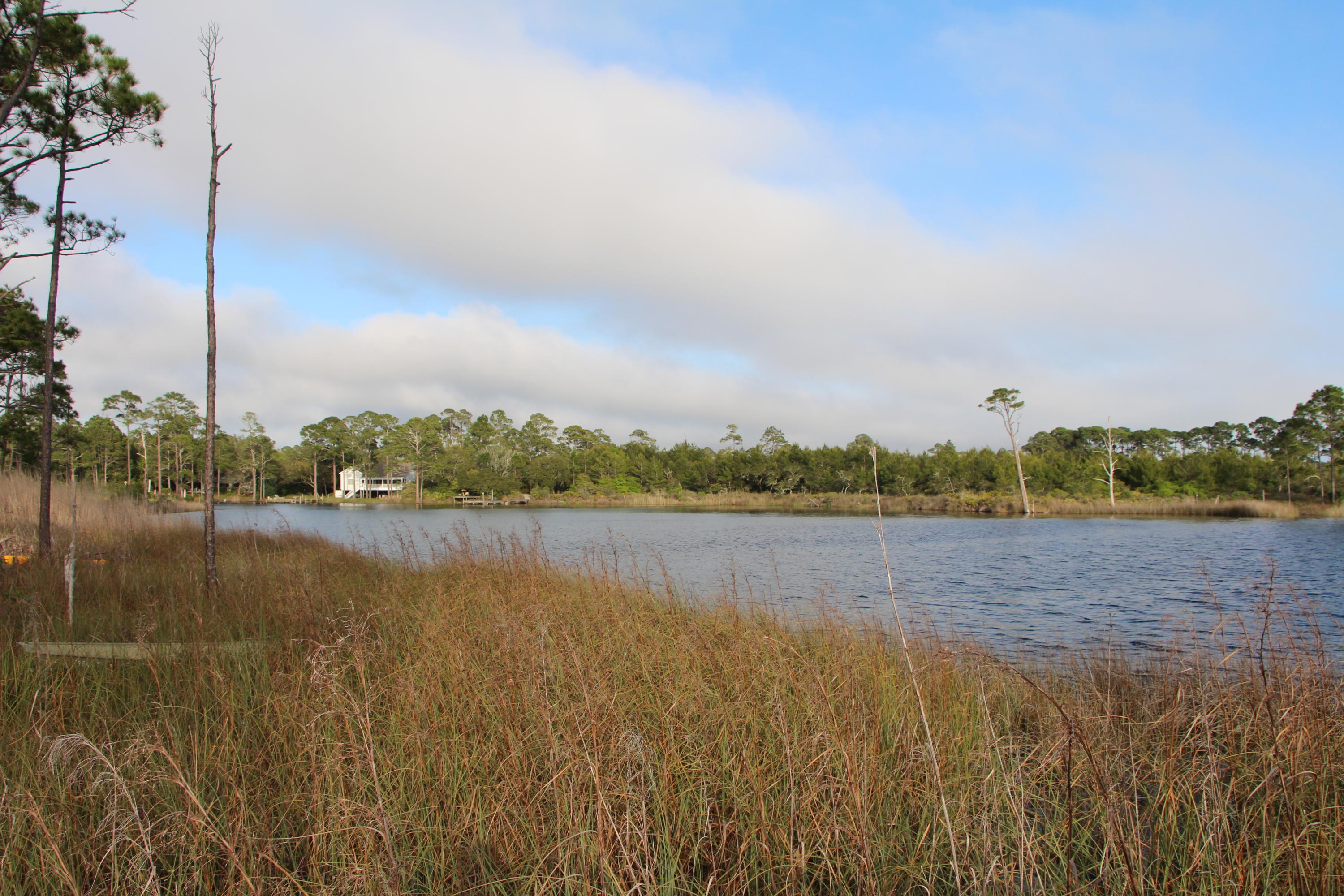 LAKEPLACE AT GRAYTON BEACH - Residential
