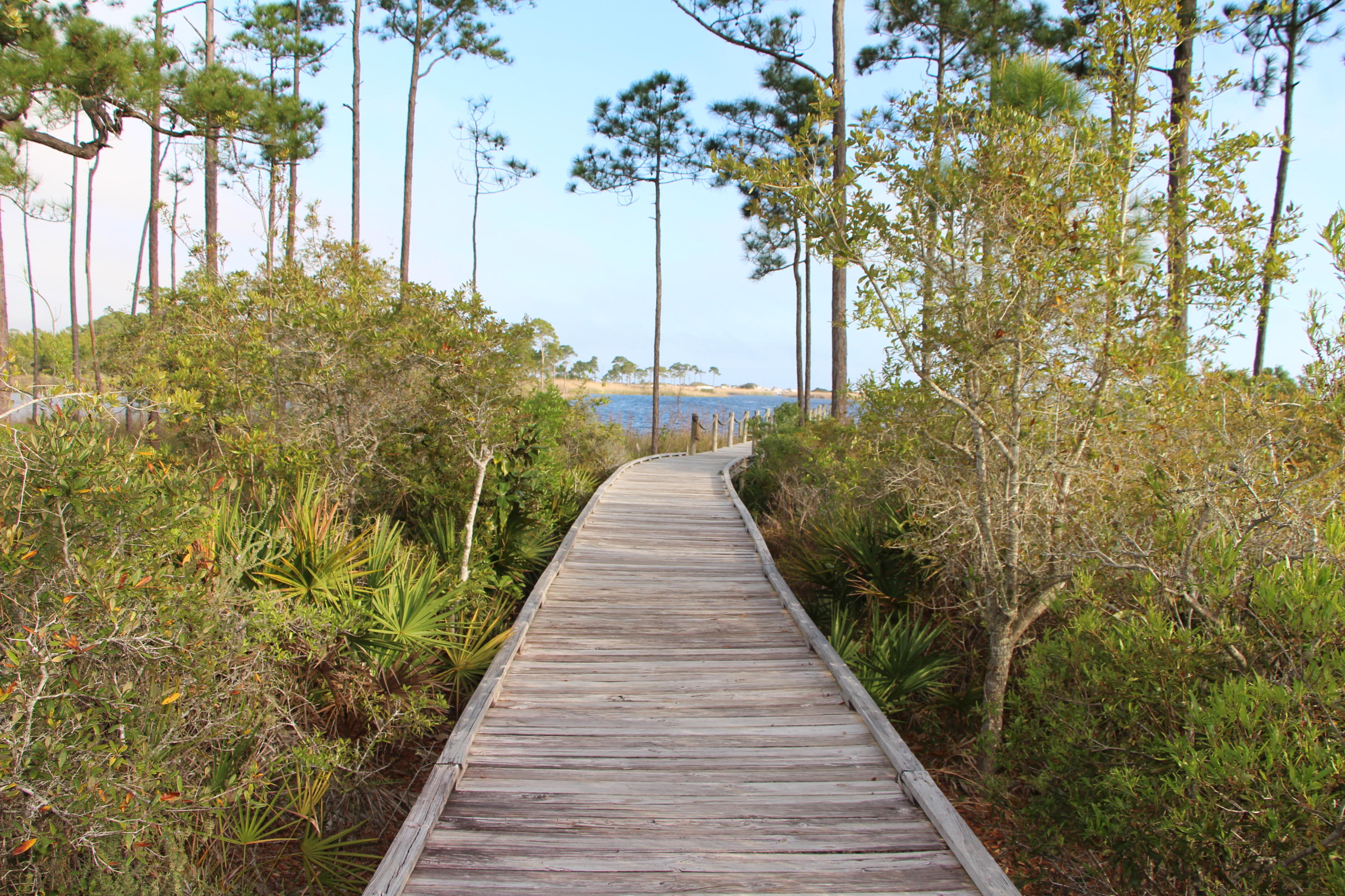 LAKEPLACE AT GRAYTON BEACH - Residential
