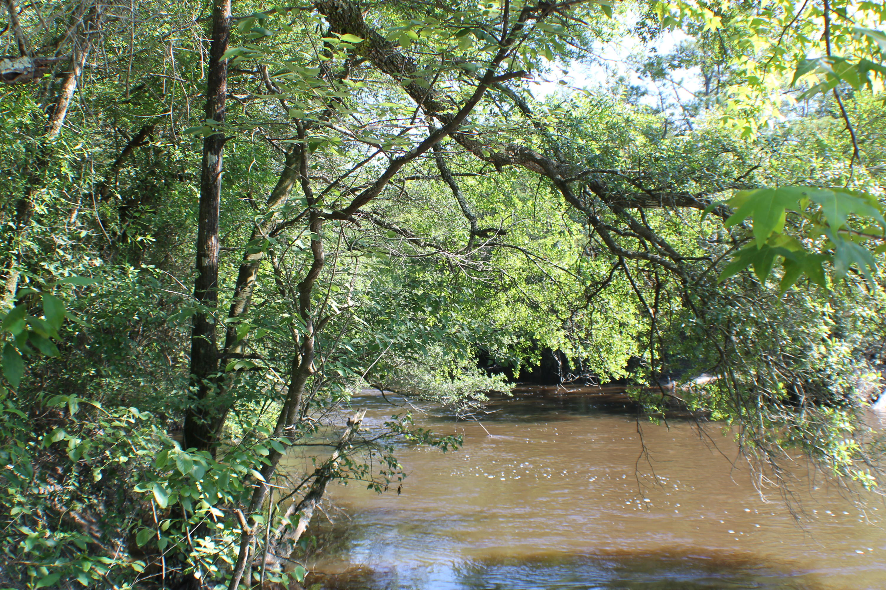 METES & BOUNDS - Farm